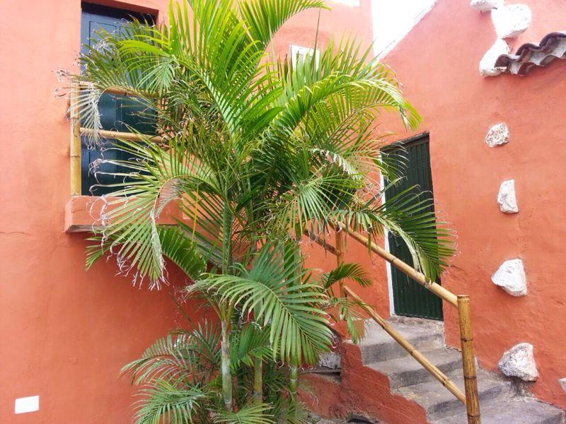 Apartmento Tabares Tejina Exterior foto